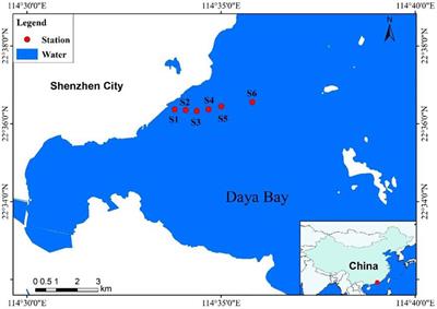 High-temperature thermal discharge inhibits plankton community metabolism in a partly eutrophicated bay in China